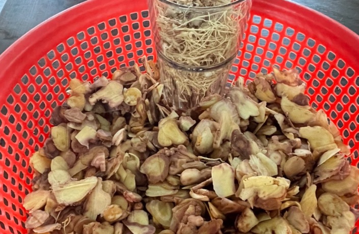 Sâm Ngọc Linh có tác dụng gì?